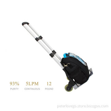 Lovego Portable Oxygen Concentrator for travel use